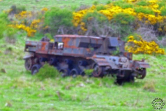 Sample Photo from Tank with UniqueID 1627