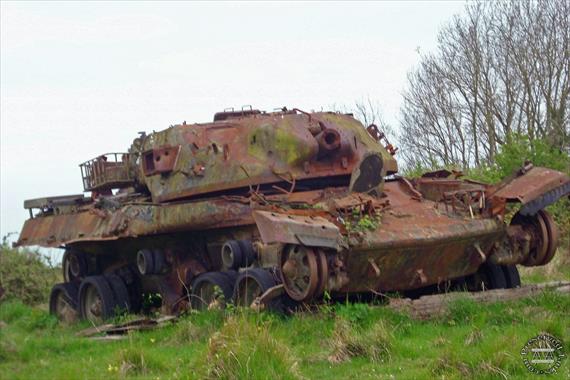 Sample Photo from Tank with UniqueID 1637