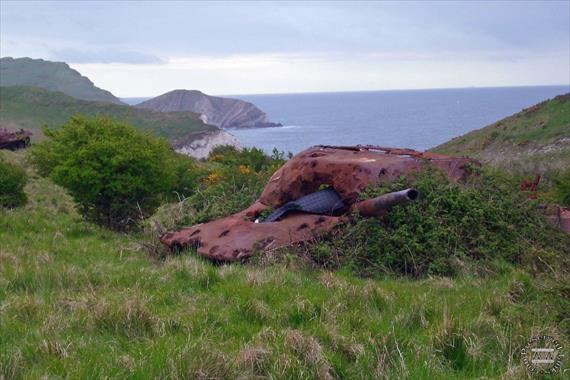 Sample Photo from Tank with UniqueID 1640