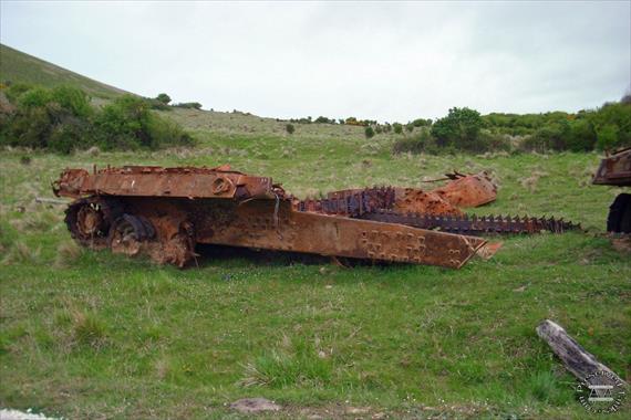 Sample Photo from Tank with UniqueID 1641