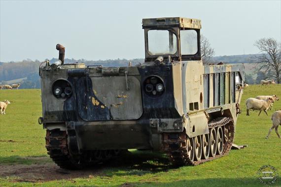 Sample Photo from Tank with UniqueID 1840