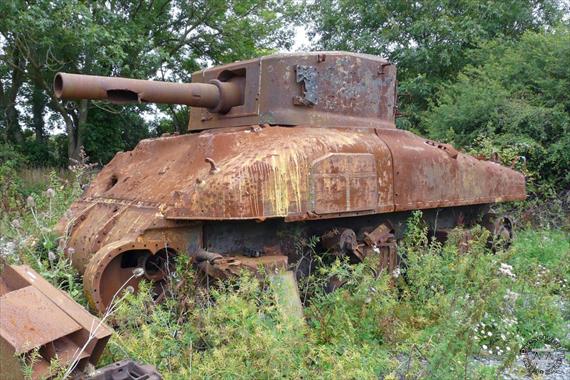 Sample Photo from Tank with UniqueID 2308