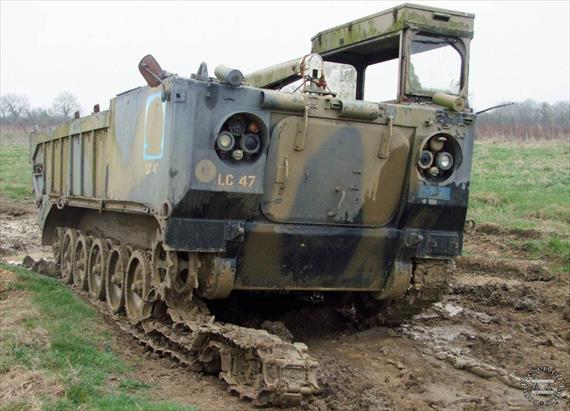 Sample Photo from Tank with UniqueID 2590