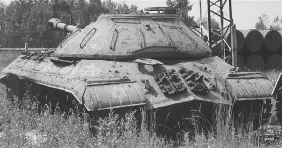 Sample Photo from Tank with UniqueID 616