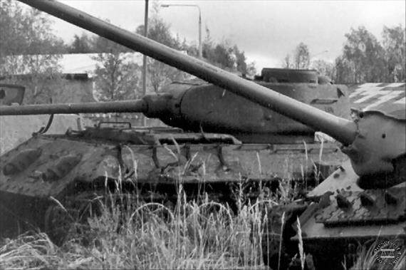 Sample Photo from Tank with UniqueID 630