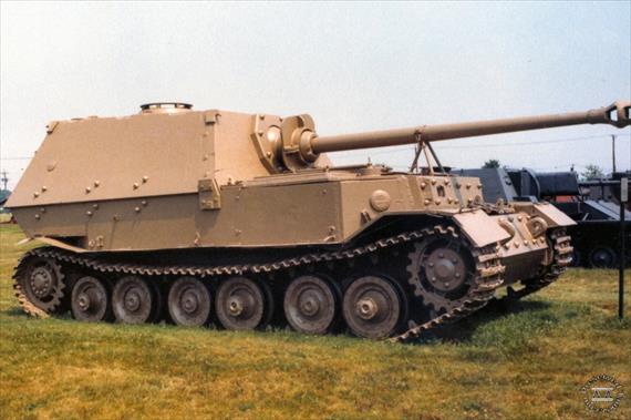 Sample Photo from Tank with UniqueID 84