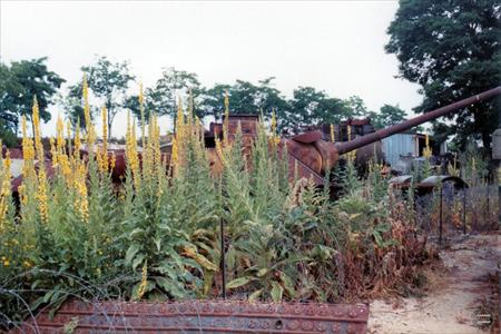 Sample Photo from Album Number 1034
