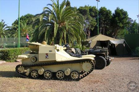 Sample Photo from Tank with UniqueID 1099