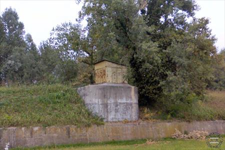 Sample Photo from Album Number 1533