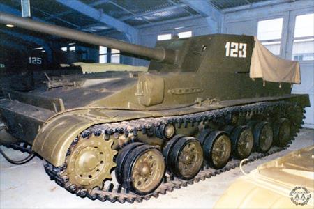 Sample Photo from Tank with UniqueID 368