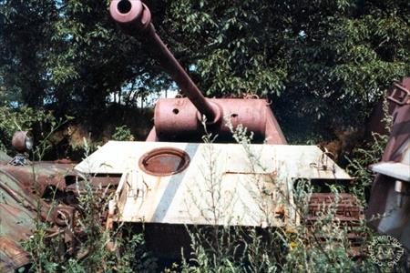 Sample Photo from Tank with UniqueID 38