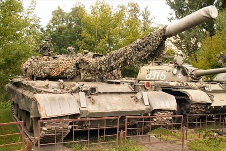 Sample Photo from Tank with UniqueID 390