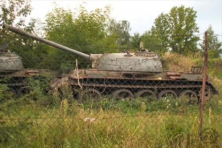 Sample Photo from Tank with UniqueID 402