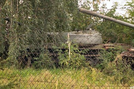 Sample Photo from Tank with UniqueID 403