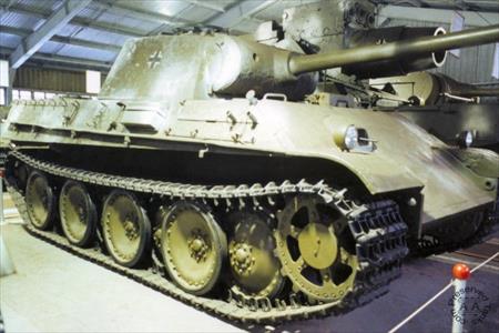 Sample Photo from Tank with UniqueID 56