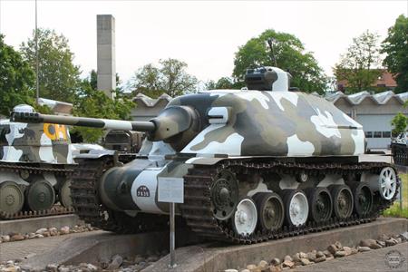 Sample Photo from Tank with UniqueID 808
