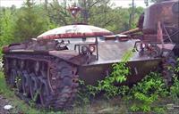 Sample Photo from tank with Unique ID 1303