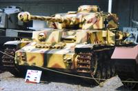 Sample Photo from tank with Unique ID 181