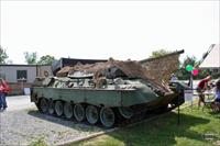 Sample Photo from tank with Unique ID 2485
