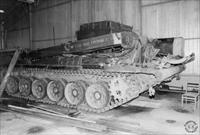 Sample Photo from tank with Unique ID 593