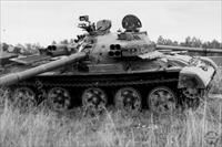 Sample Photo from tank with Unique ID 620