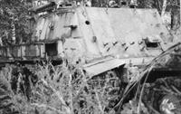 Sample Photo from tank with Unique ID 653