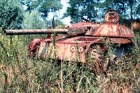 Sample Photo from tank with Unique ID 938