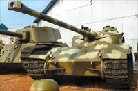 Sample Photo from tank with Unique ID 953