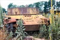 Sample Photo from tank with Unique ID 954