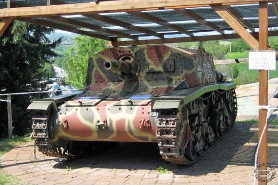 Sample Photo from Tank with UniqueID 1135