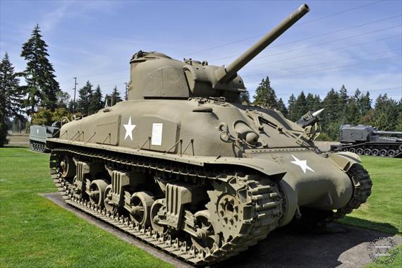 Sample Photo from Tank with UniqueID 1397