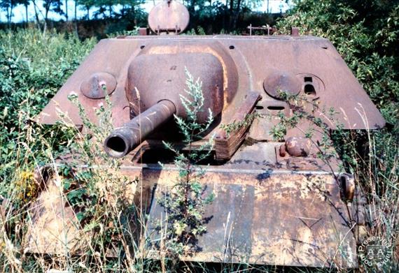 Sample Photo from Tank with UniqueID 195