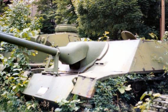 Sample Photo from Tank with UniqueID 202