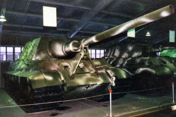 Sample Photo from Tank with UniqueID 224