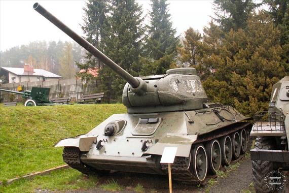 Sample Photo from Tank with UniqueID 2246