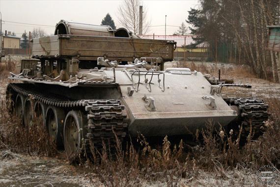 Sample Photo from Tank with UniqueID 2268