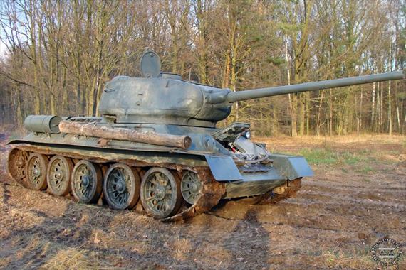 Sample Photo from Tank with UniqueID 2273