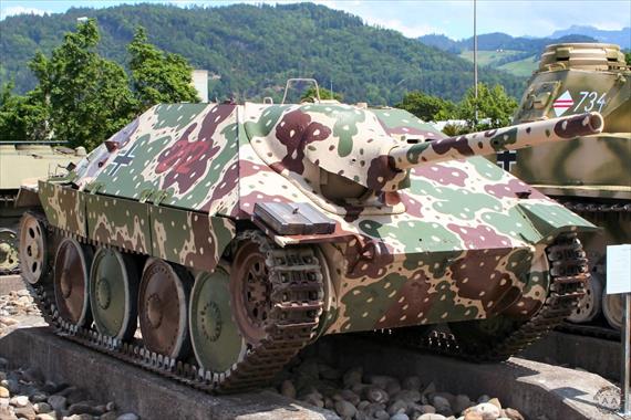 Sample Photo from Tank with UniqueID 244