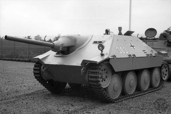 Sample Photo from Tank with UniqueID 245