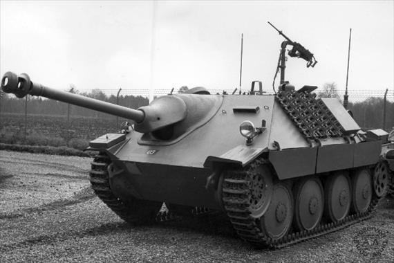 Sample Photo from Tank with UniqueID 270