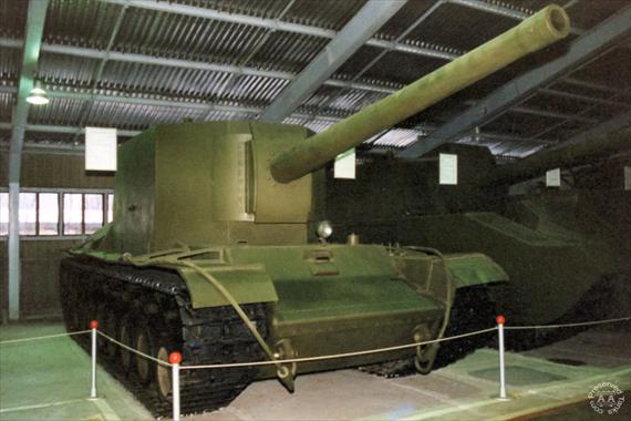 Sample Photo from Tank with UniqueID 349