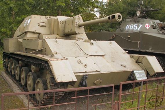 Sample Photo from Tank with UniqueID 377