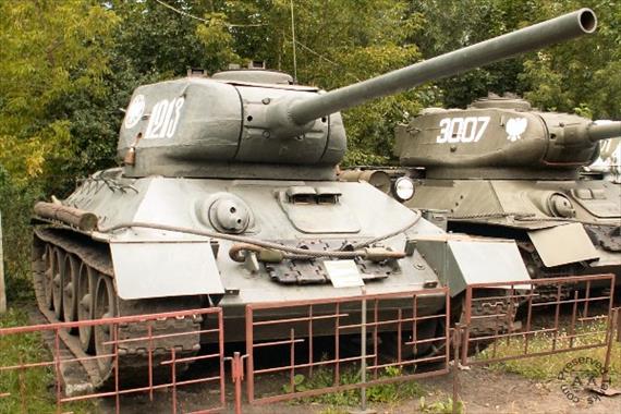 Sample Photo from Tank with UniqueID 384