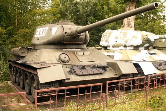 Sample Photo from Tank with UniqueID 385