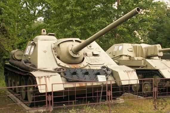 Sample Photo from Tank with UniqueID 386