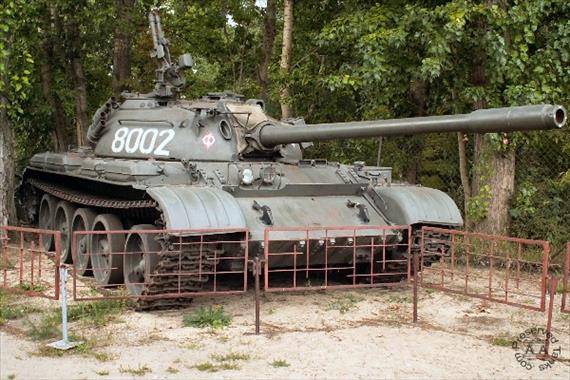 Sample Photo from Tank with UniqueID 387