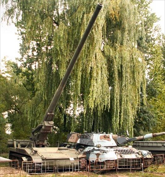 Sample Photo from Tank with UniqueID 400