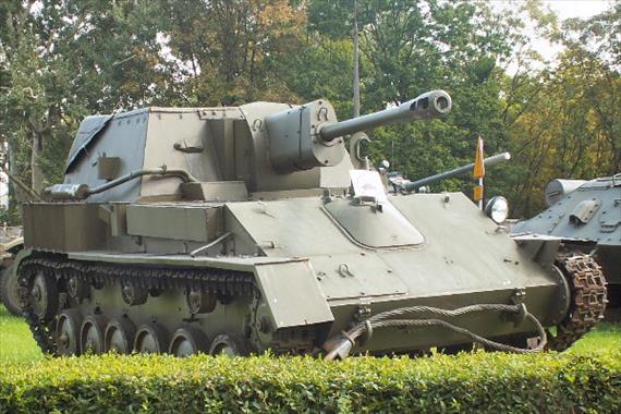 Sample Photo from Tank with UniqueID 404