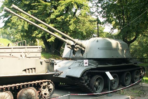 Sample Photo from Tank with UniqueID 409