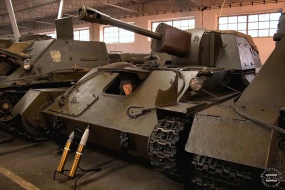 Sample Photo from Tank with UniqueID 421